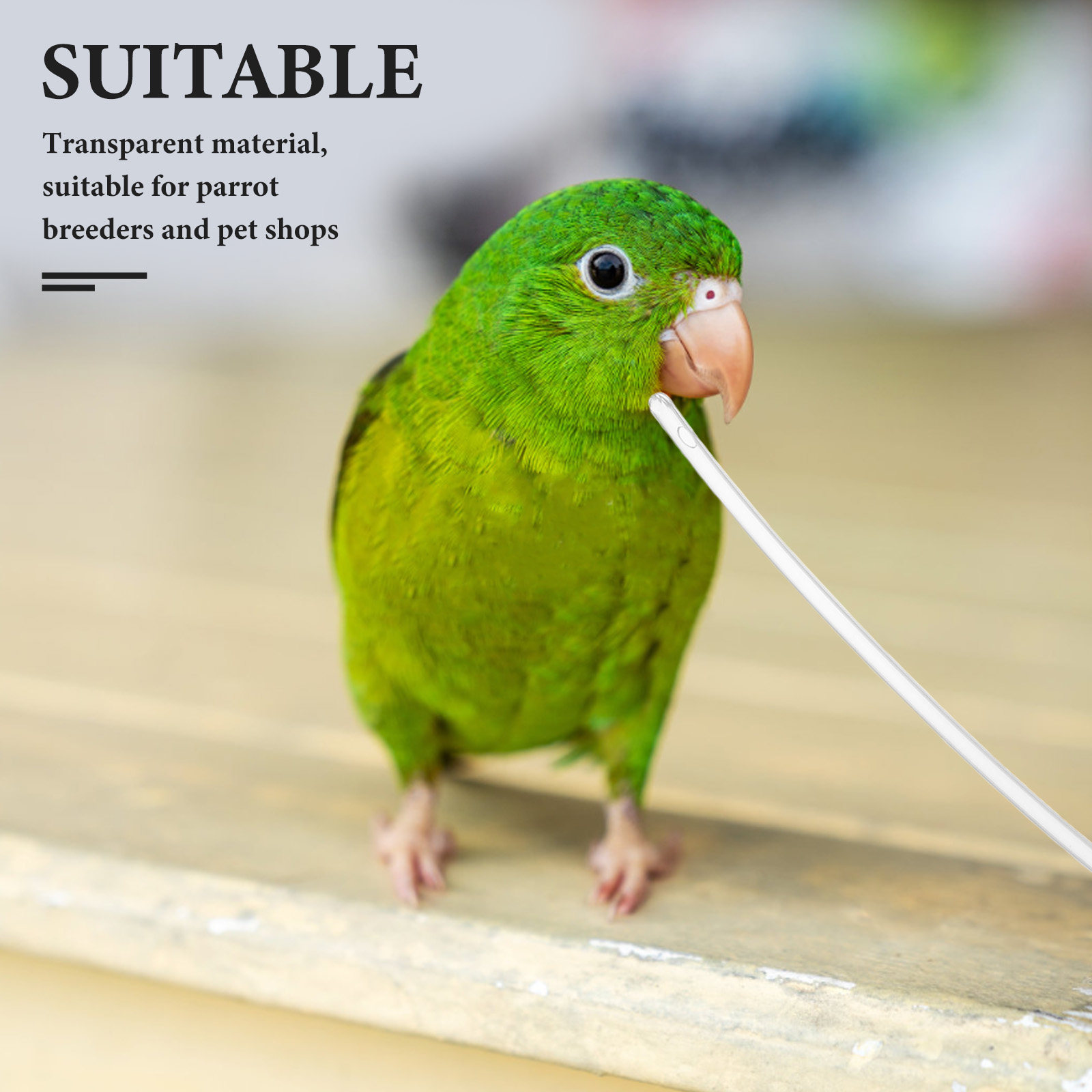 10Pcs Clear Soft Parrot Feeder - огляд і ціна Baby Food Youtube